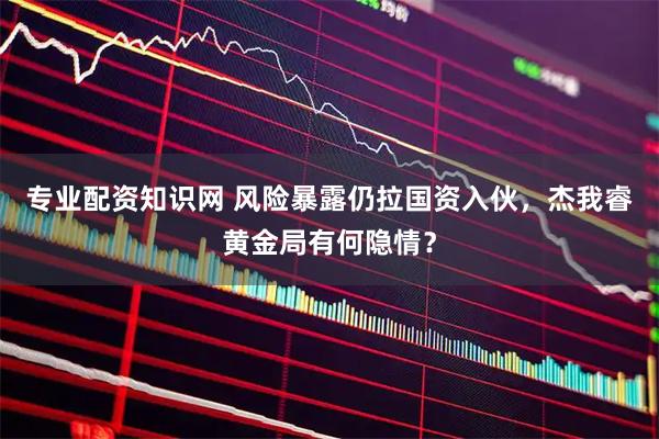 专业配资知识网 风险暴露仍拉国资入伙，杰我睿黄金局有何隐情？